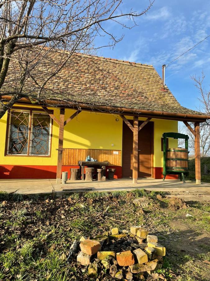 Het Hongaarse Wijnhuis Mohács Kültér fotó
